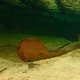 The canoe underwater.